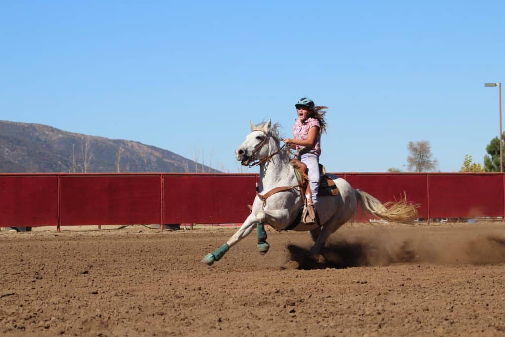 horse and rider at gymkhana show