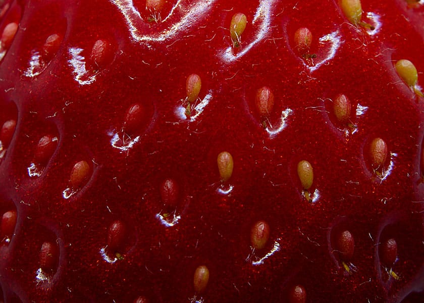 strawberry close up