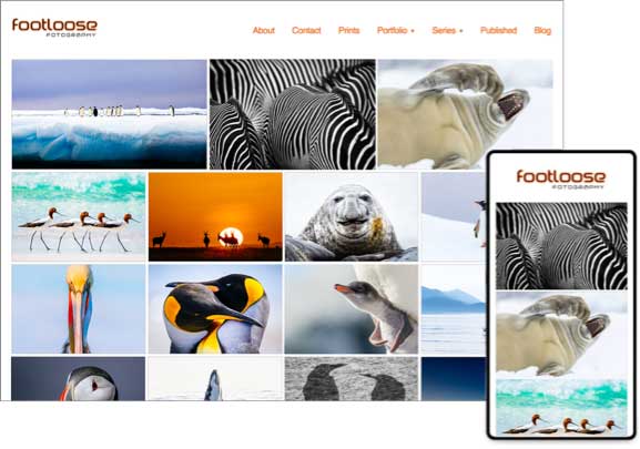 online photo template for wildlife