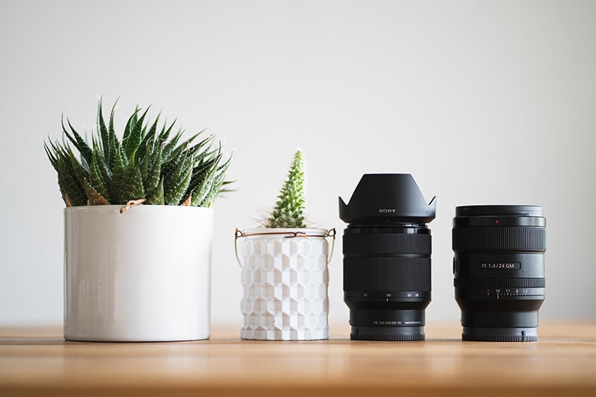 succulents and camera lenses