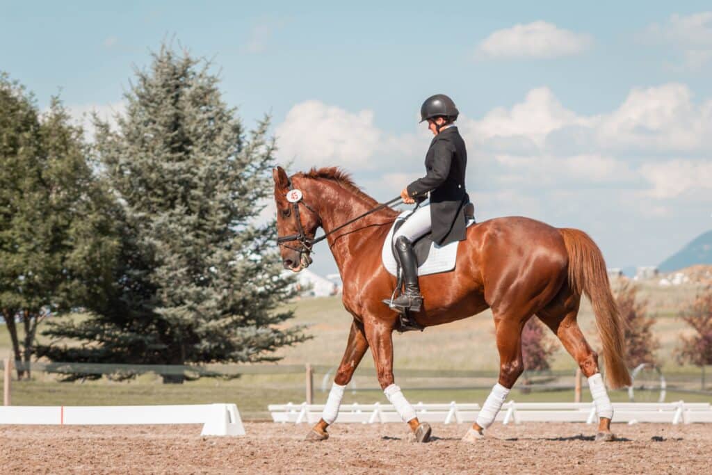 rider in english gear astride a brown horse