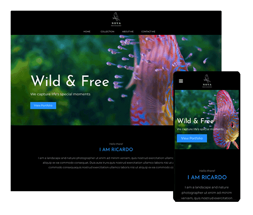 Explorer wildlife website template online photography portfolio online photography portfolio